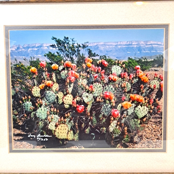 Harry Bowden "Boquillas Spring" Framed & Matted Photo Signed Limited Edition - Picture 4 of 14